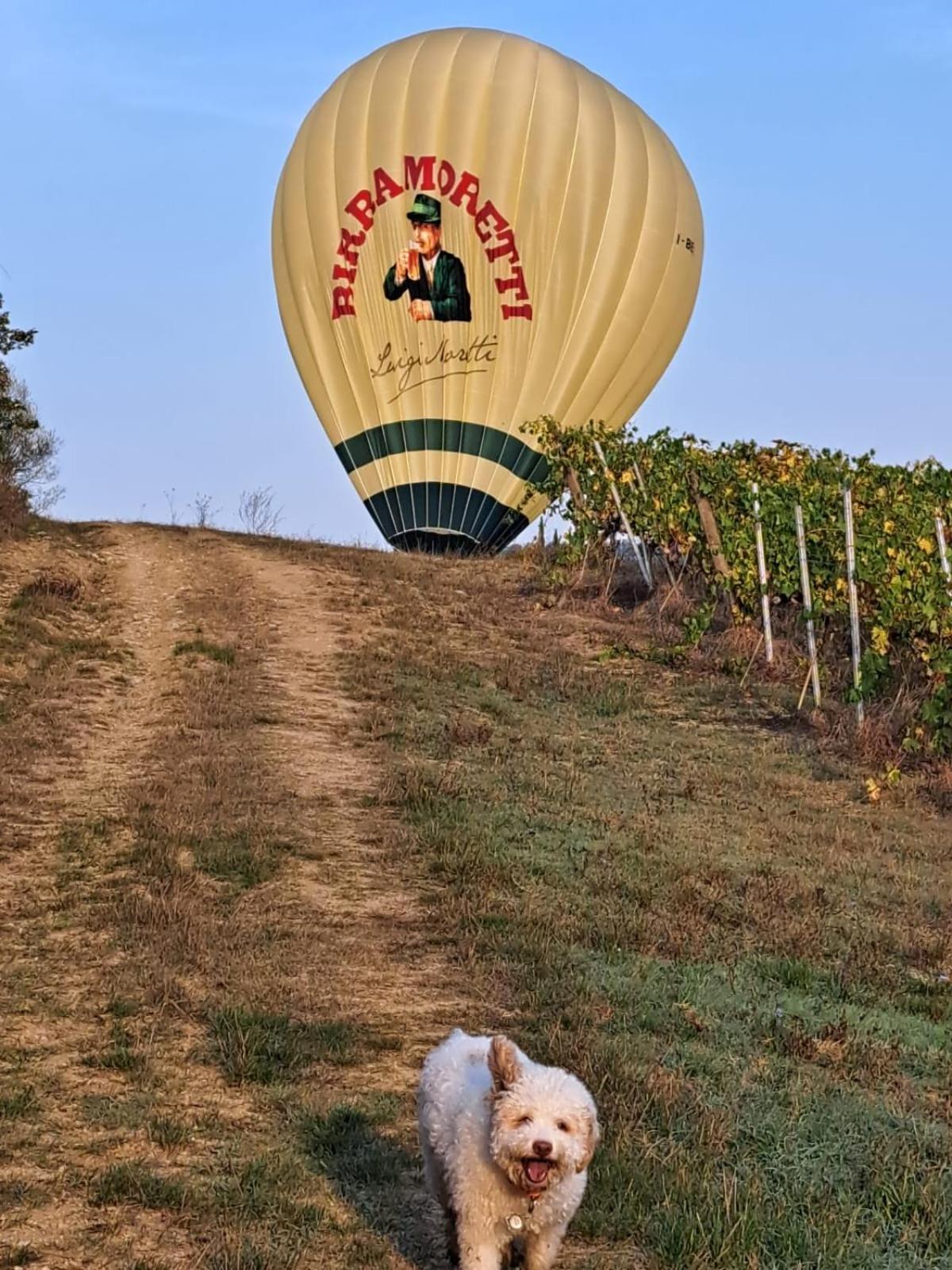 Podere Fichereto Tuscany Apartment In Florence Countryside Scandicci Zewnętrze zdjęcie